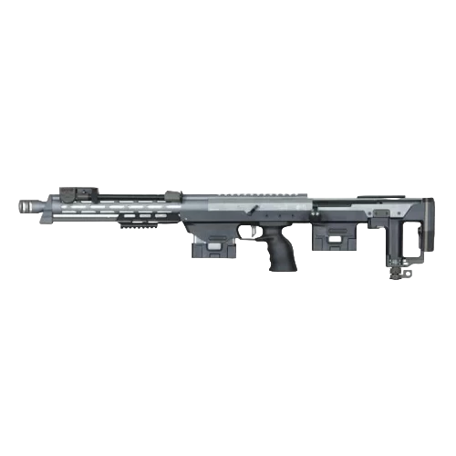 DSR-1