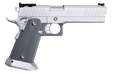 Army Armament R609 STI 2011 Silver